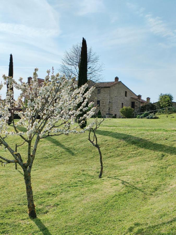 Casa Mae Daire Sarteano Dış mekan fotoğraf