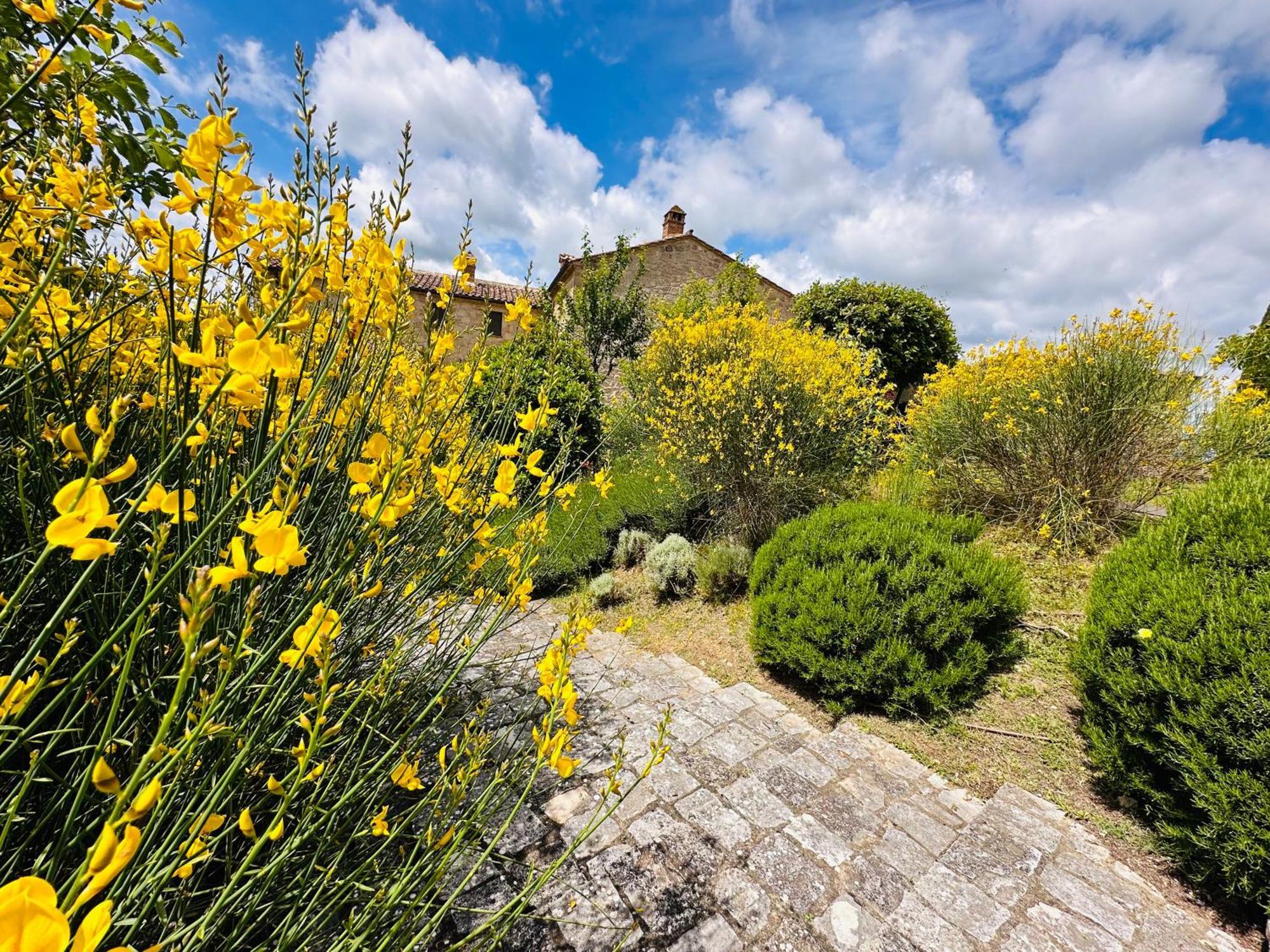 Casa Mae Daire Sarteano Dış mekan fotoğraf